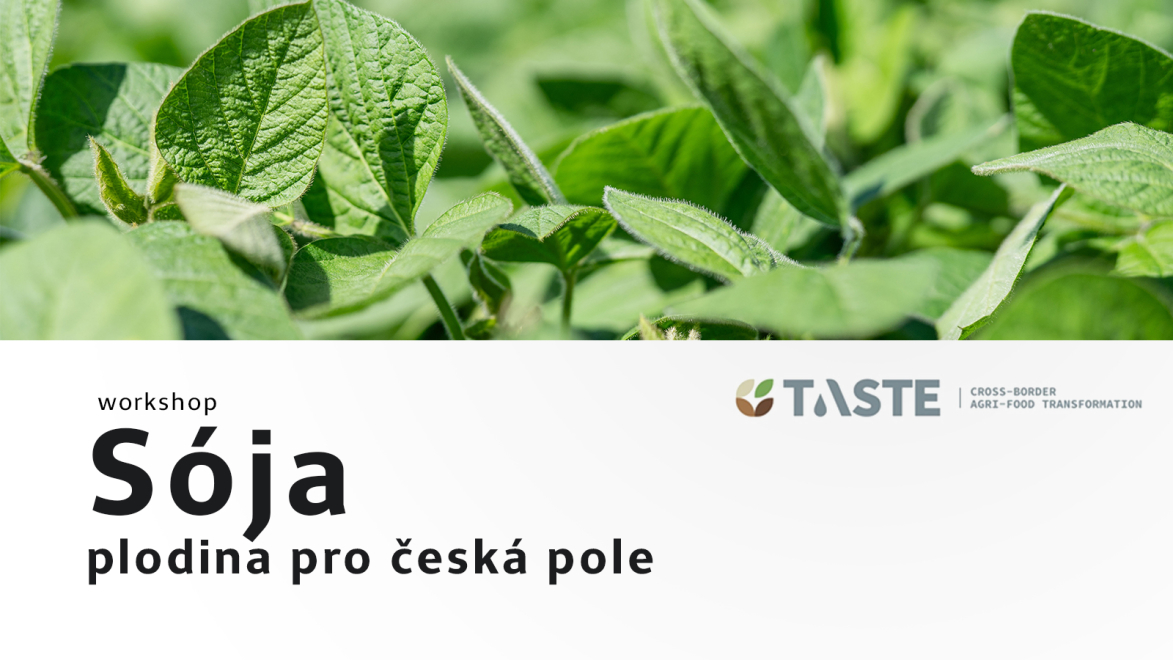 2026-workshop-soja-cover