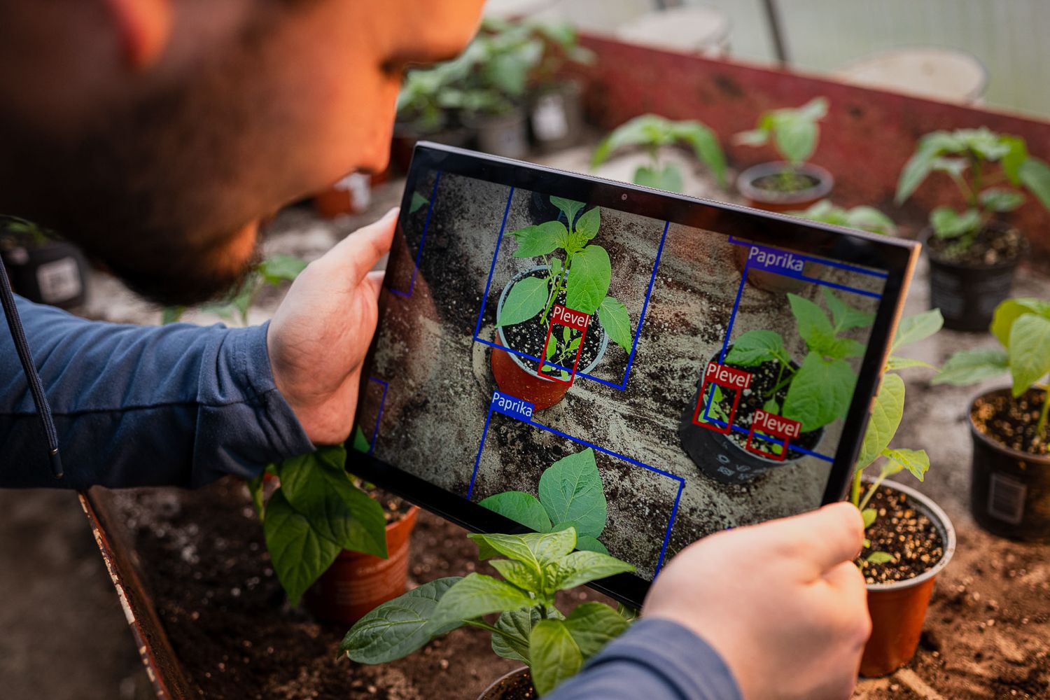 Laboratoř aplikovaného počítačového vidění